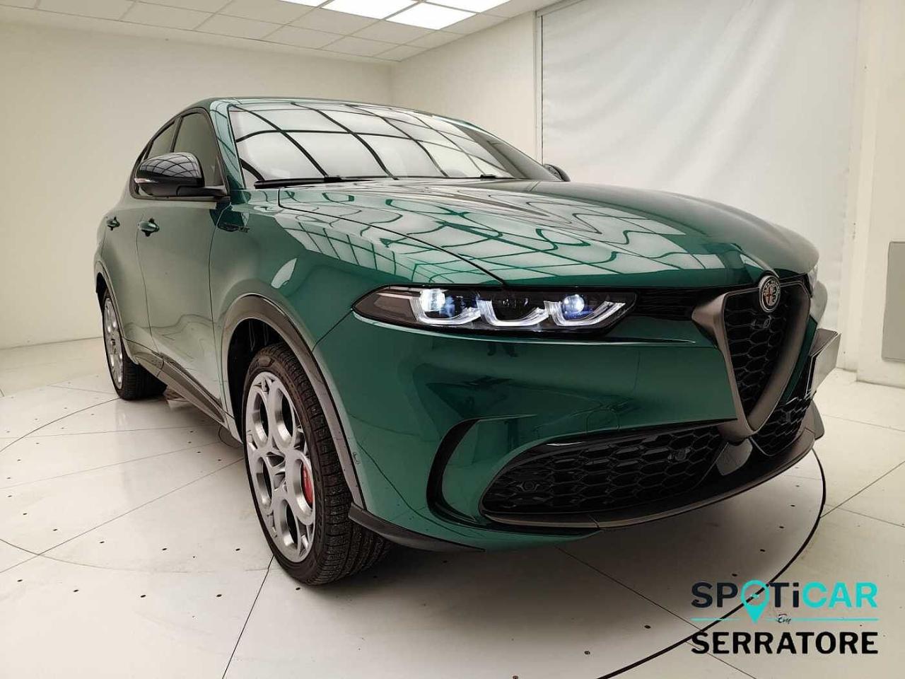 Alfa Romeo Alfa Romeo Tonale usata 15