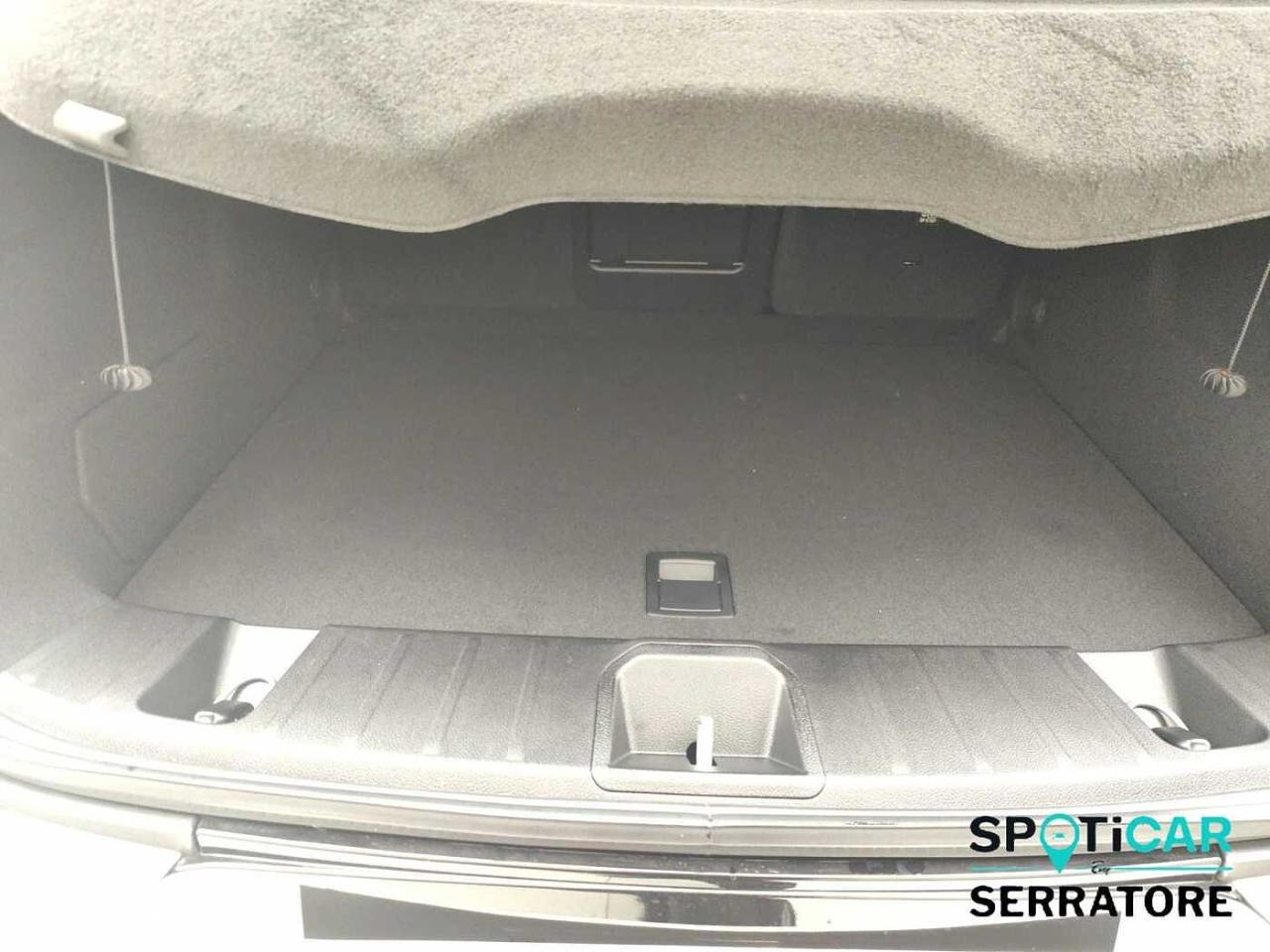 Alfa Romeo Alfa Romeo Tonale usata 8