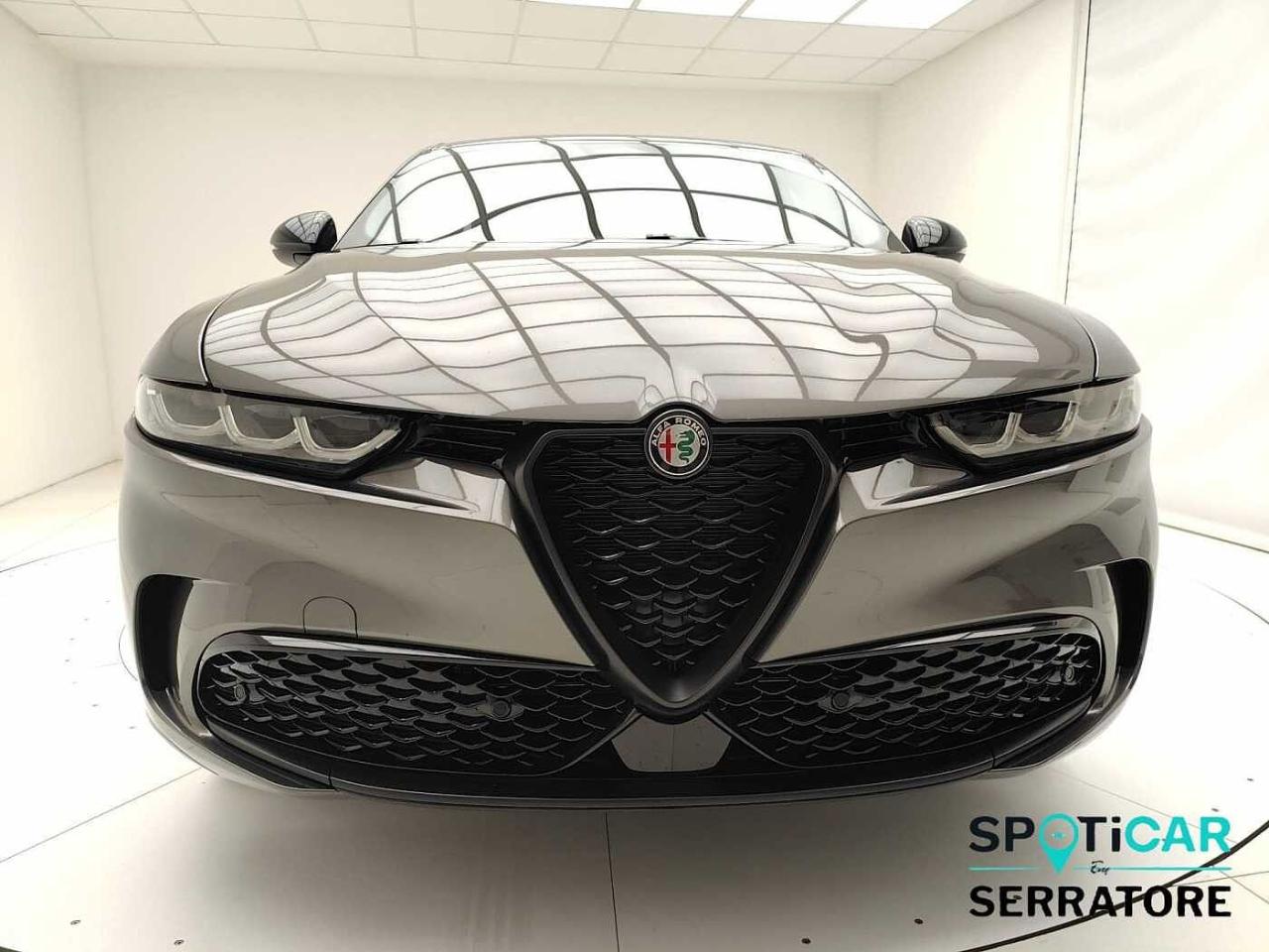 Alfa Romeo Alfa Romeo Tonale usata 11