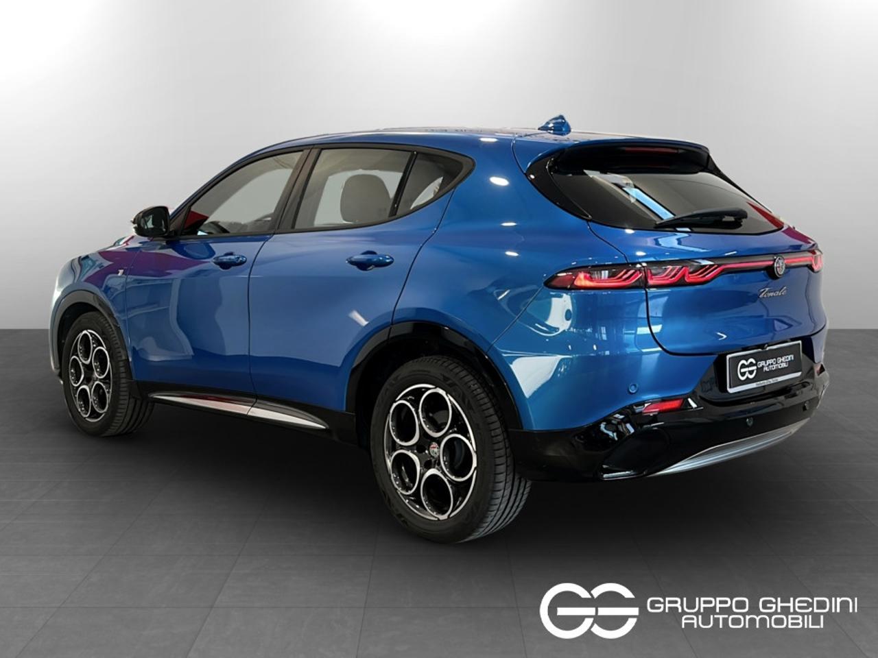 Alfa Romeo Alfa Romeo Tonale usata 14