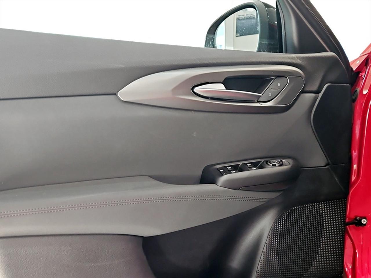 Alfa Romeo Alfa Romeo Tonale usata 20