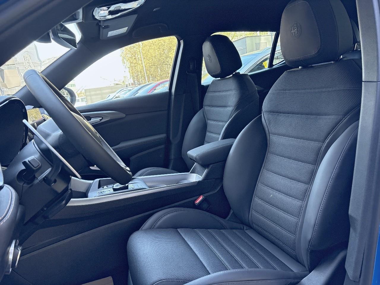 Alfa Romeo Alfa Romeo Tonale usata 19