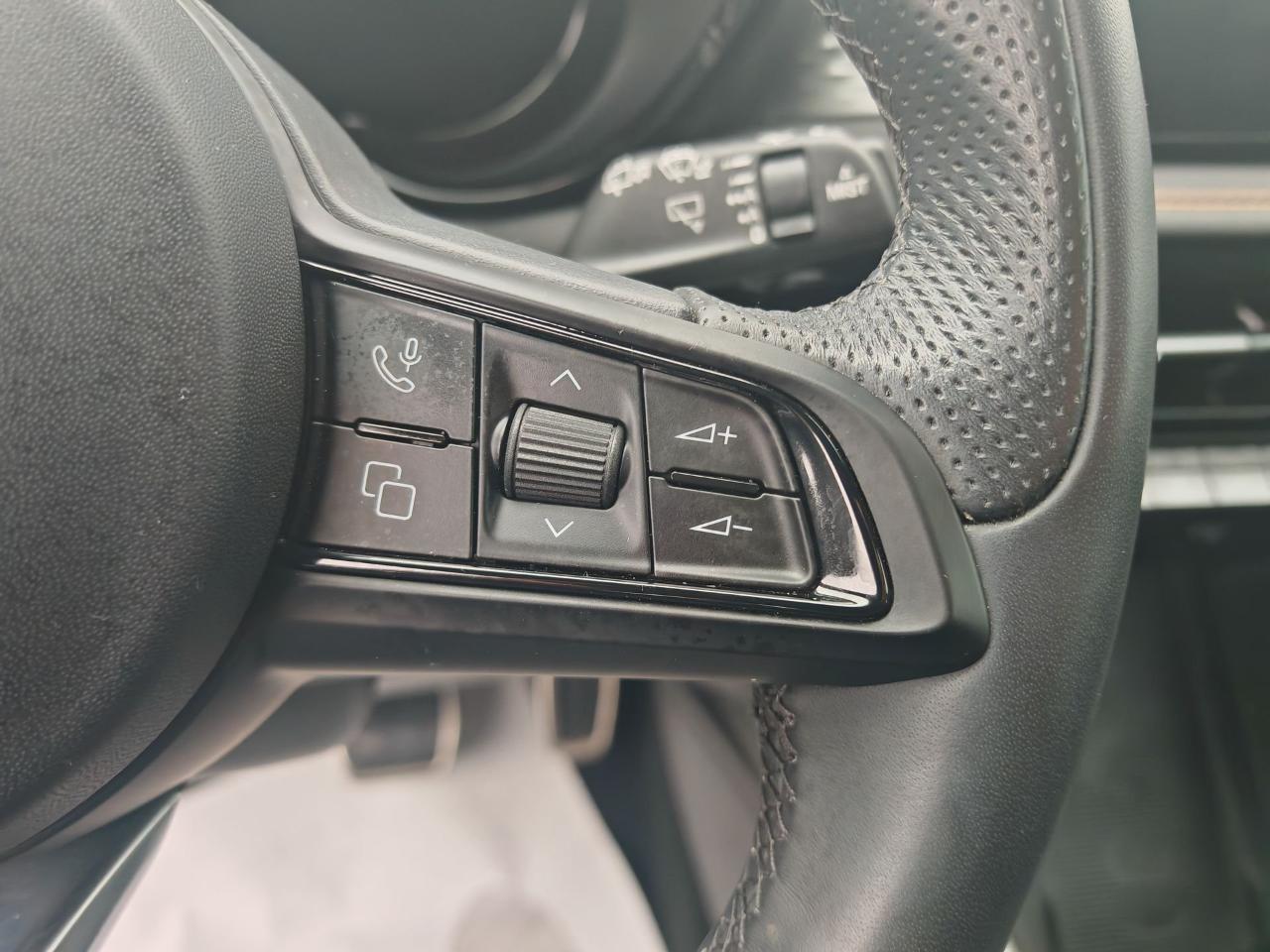 Alfa Romeo Alfa Romeo Tonale usata 4