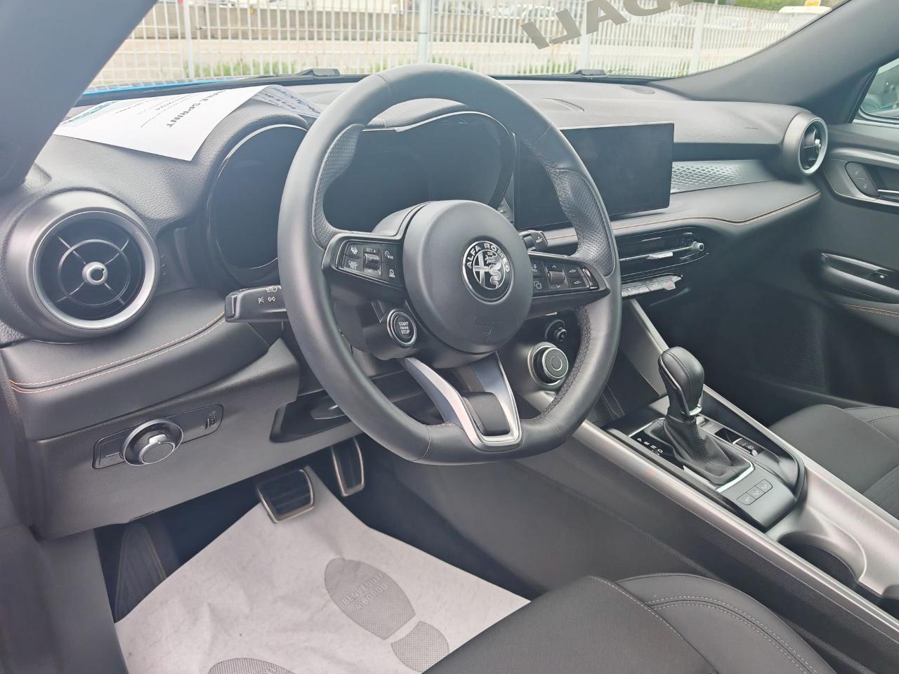 Alfa Romeo Alfa Romeo Tonale usata 16