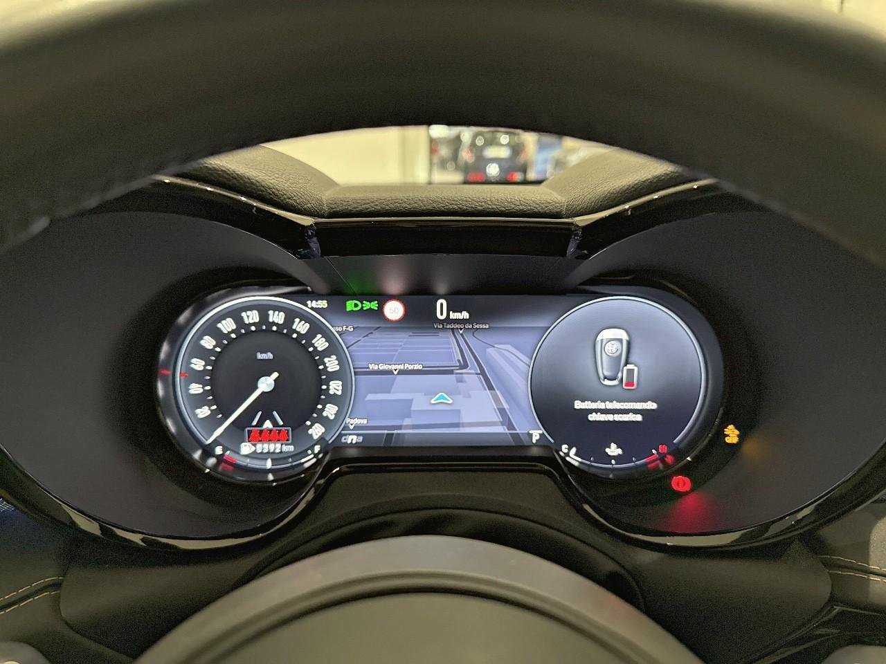 Alfa Romeo Alfa Romeo Tonale usata 7