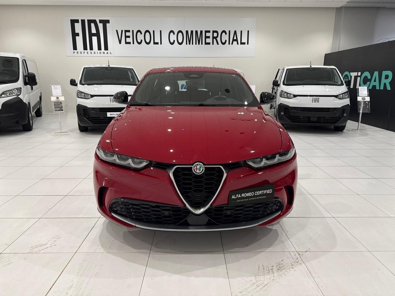 Alfa Romeo Alfa Romeo Tonale usata 11