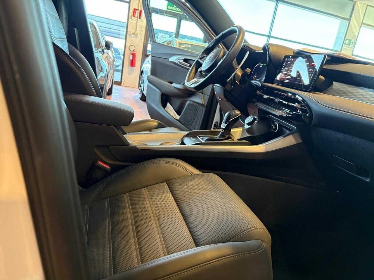 Alfa Romeo Alfa Romeo Tonale usata 6