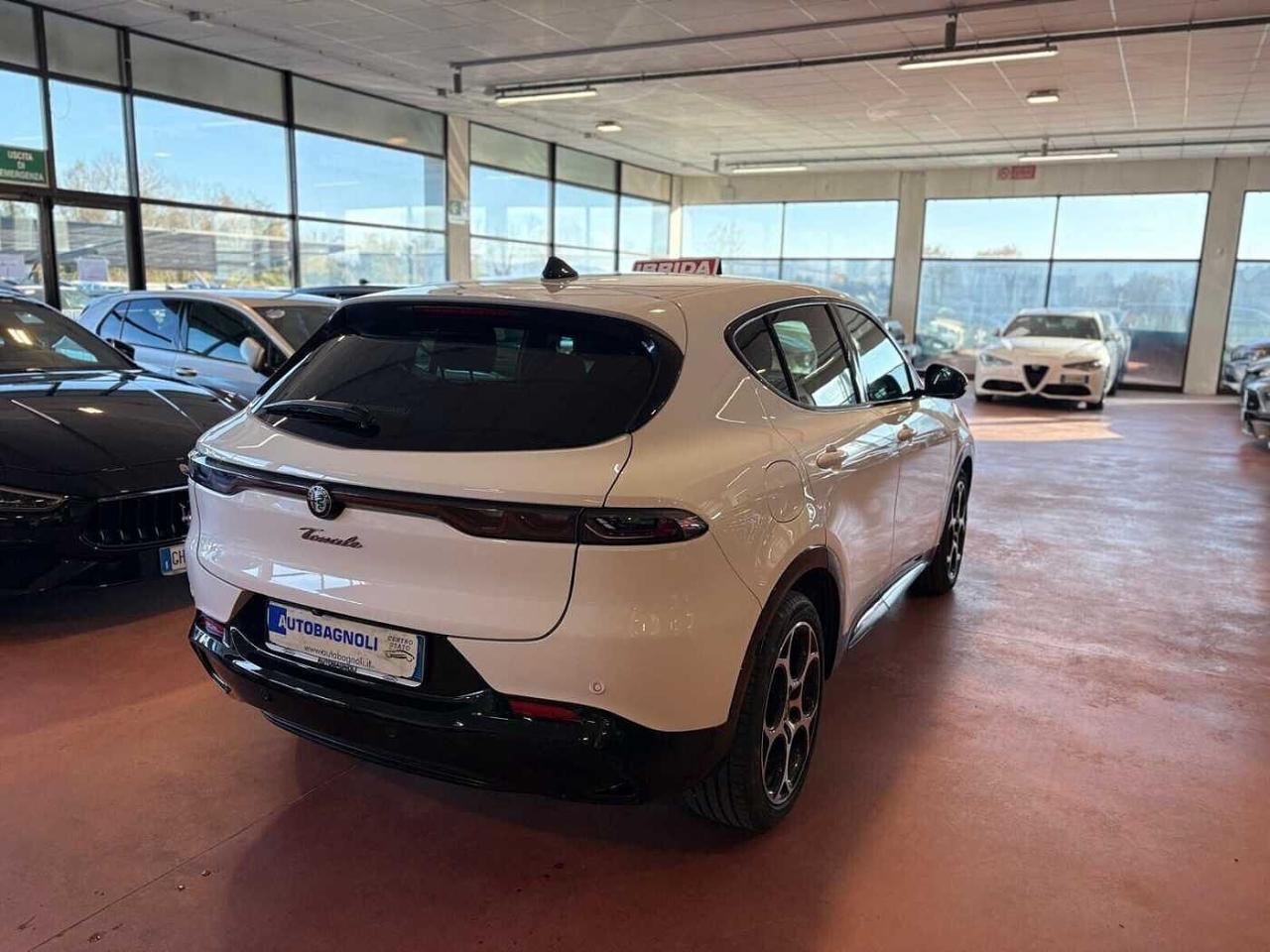 Alfa Romeo Alfa Romeo Tonale usata 13