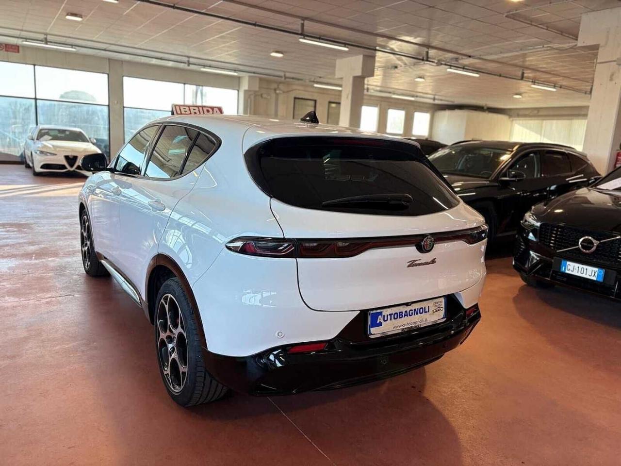 Alfa Romeo Alfa Romeo Tonale usata 14