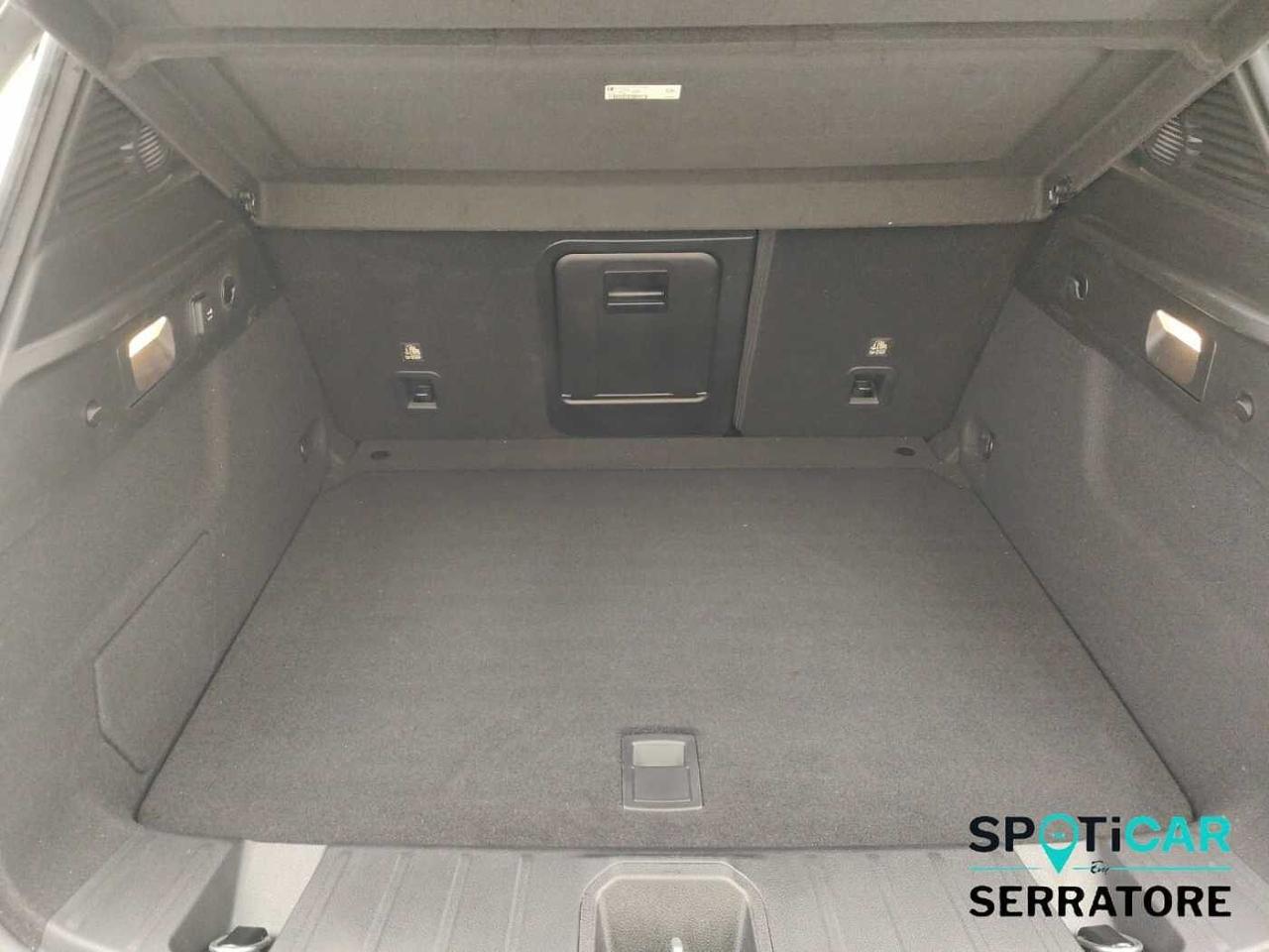 Alfa Romeo Alfa Romeo Tonale usata 10