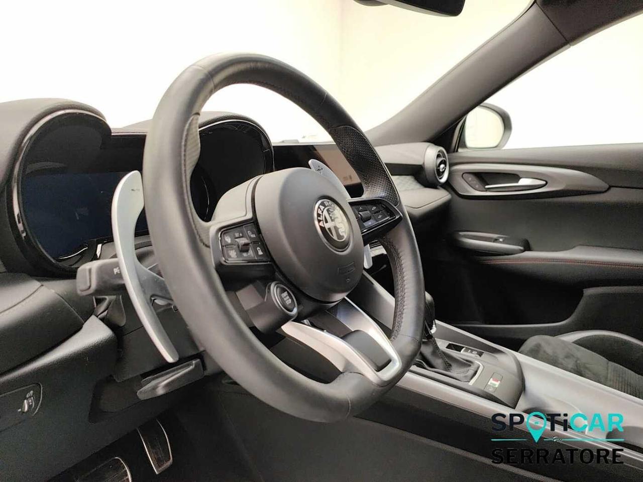 Alfa Romeo Alfa Romeo Tonale usata 21