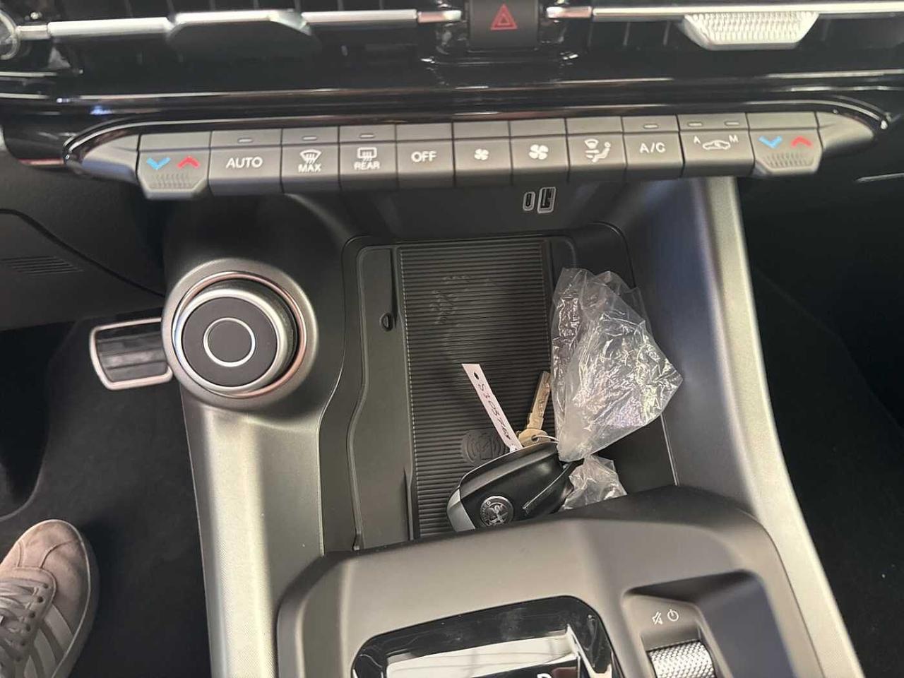 Alfa Romeo Alfa Romeo Tonale usata 9