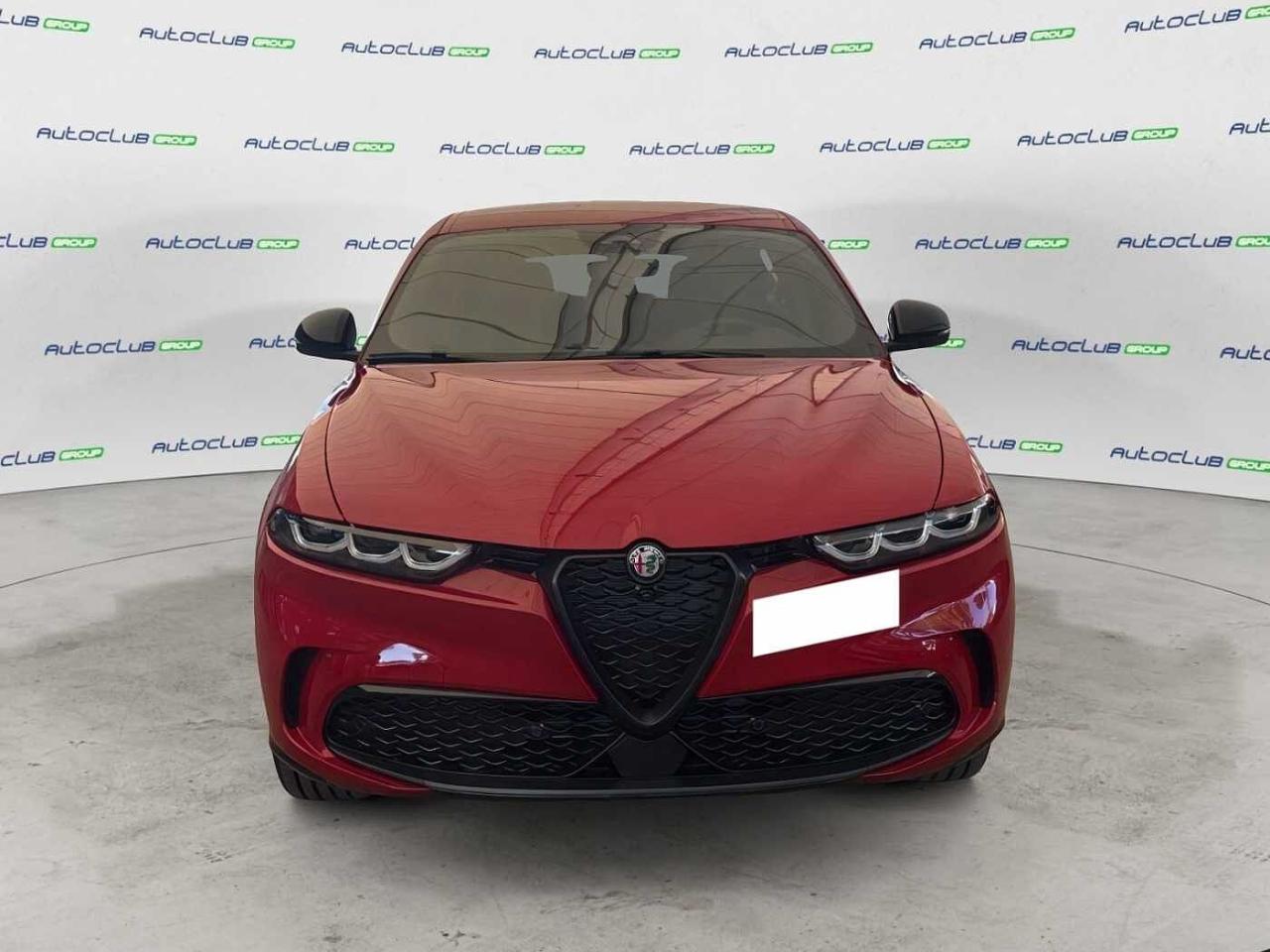 Alfa Romeo Alfa Romeo Tonale usata 11