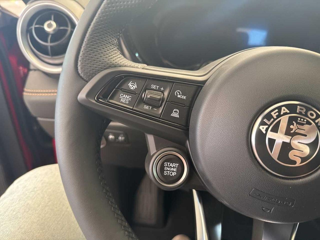 Alfa Romeo Alfa Romeo Tonale usata 12