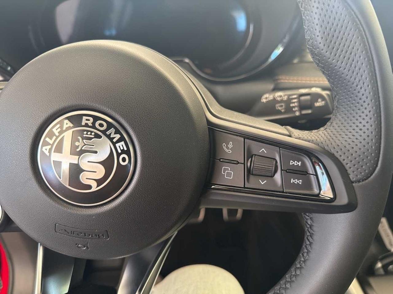 Alfa Romeo Alfa Romeo Tonale usata 13