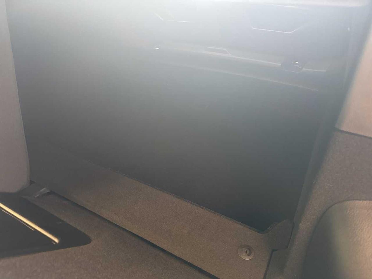 Alfa Romeo Alfa Romeo Tonale usata 14