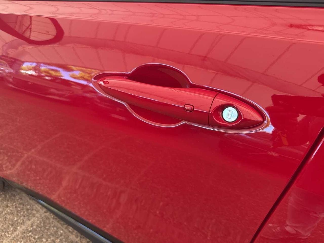 Alfa Romeo Alfa Romeo Tonale usata 22