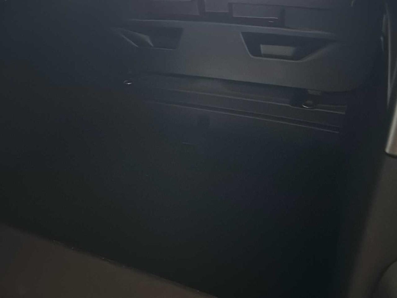 Alfa Romeo Alfa Romeo Tonale usata 14