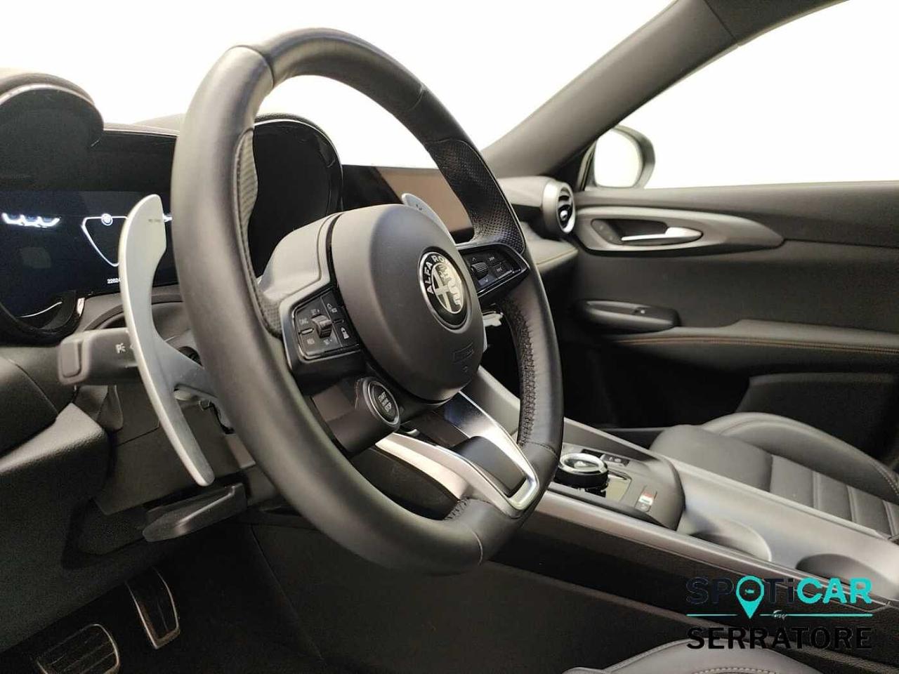 Alfa Romeo Alfa Romeo Tonale usata 16