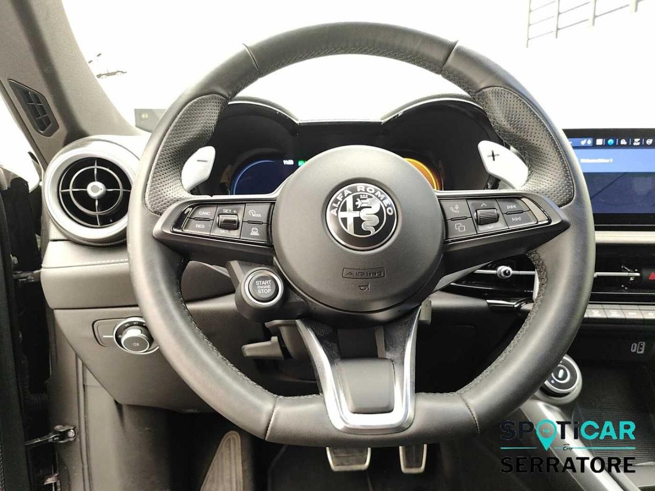 Alfa Romeo Alfa Romeo Tonale usata 8