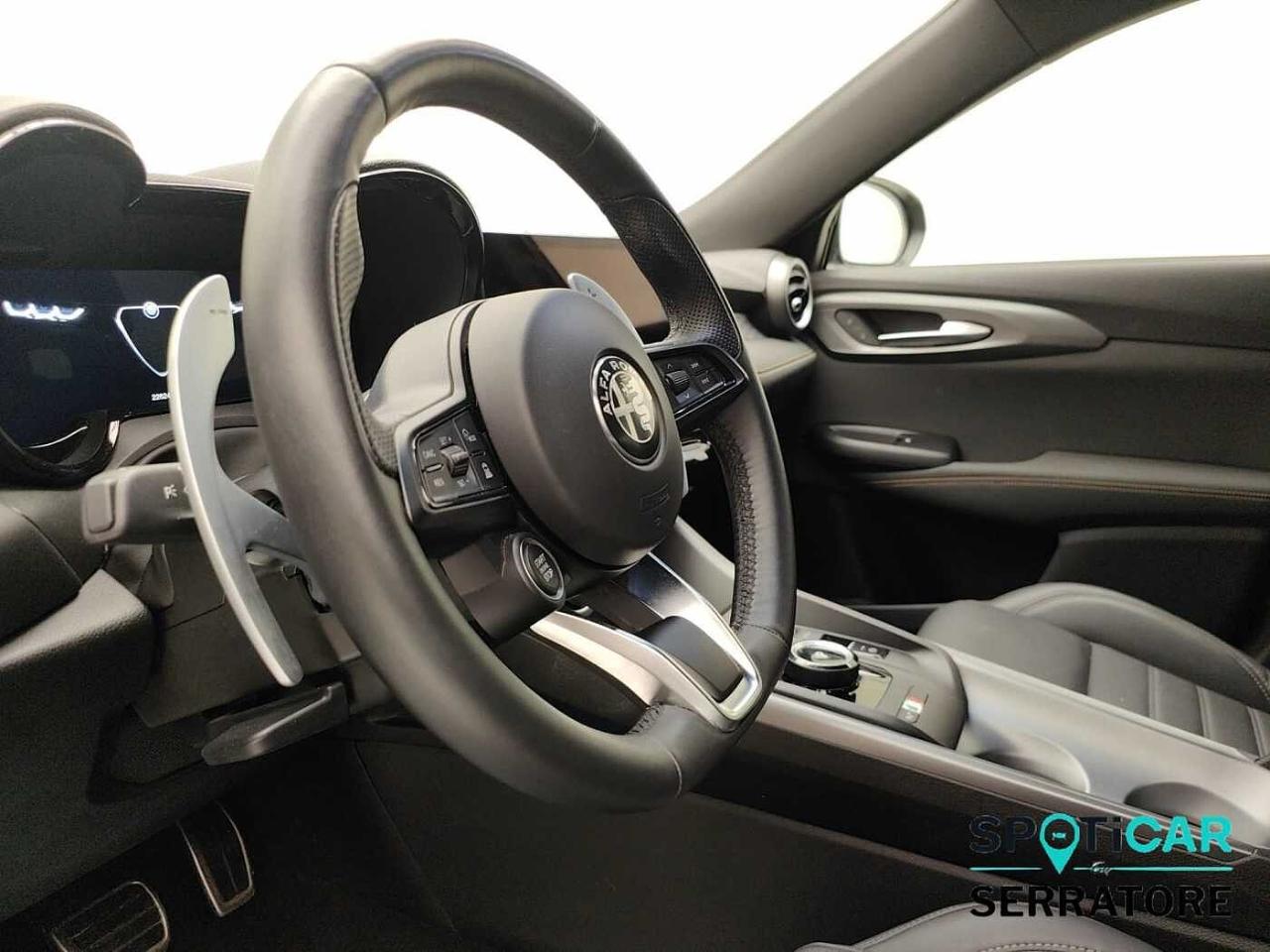 Alfa Romeo Alfa Romeo Tonale usata 19