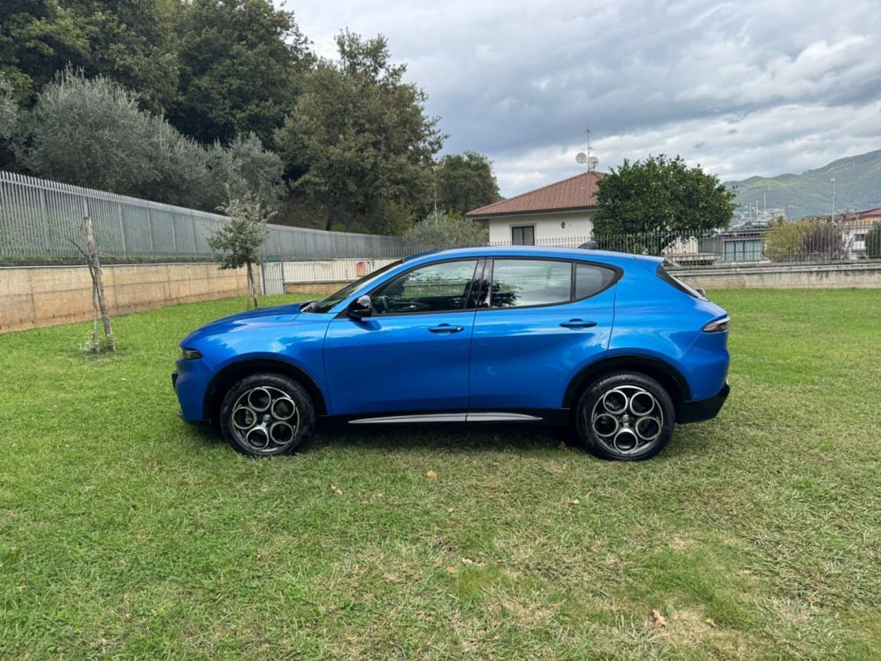 Alfa Romeo Alfa Romeo Tonale usata 1