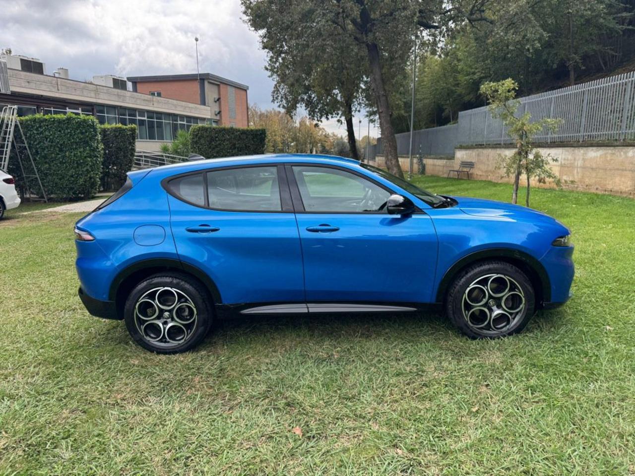 Alfa Romeo Alfa Romeo Tonale usata 7