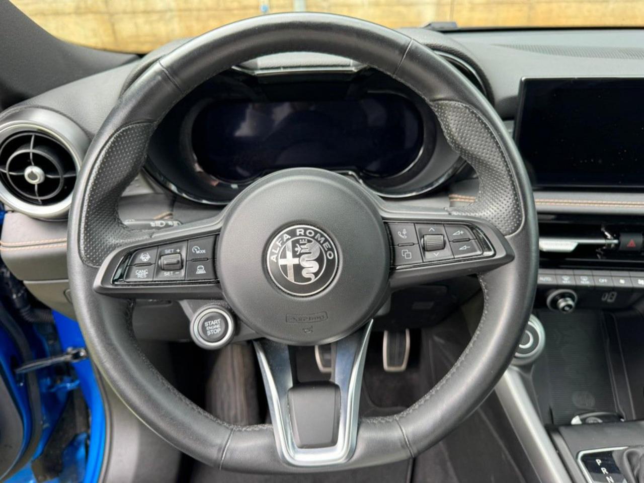 Alfa Romeo Alfa Romeo Tonale usata 12