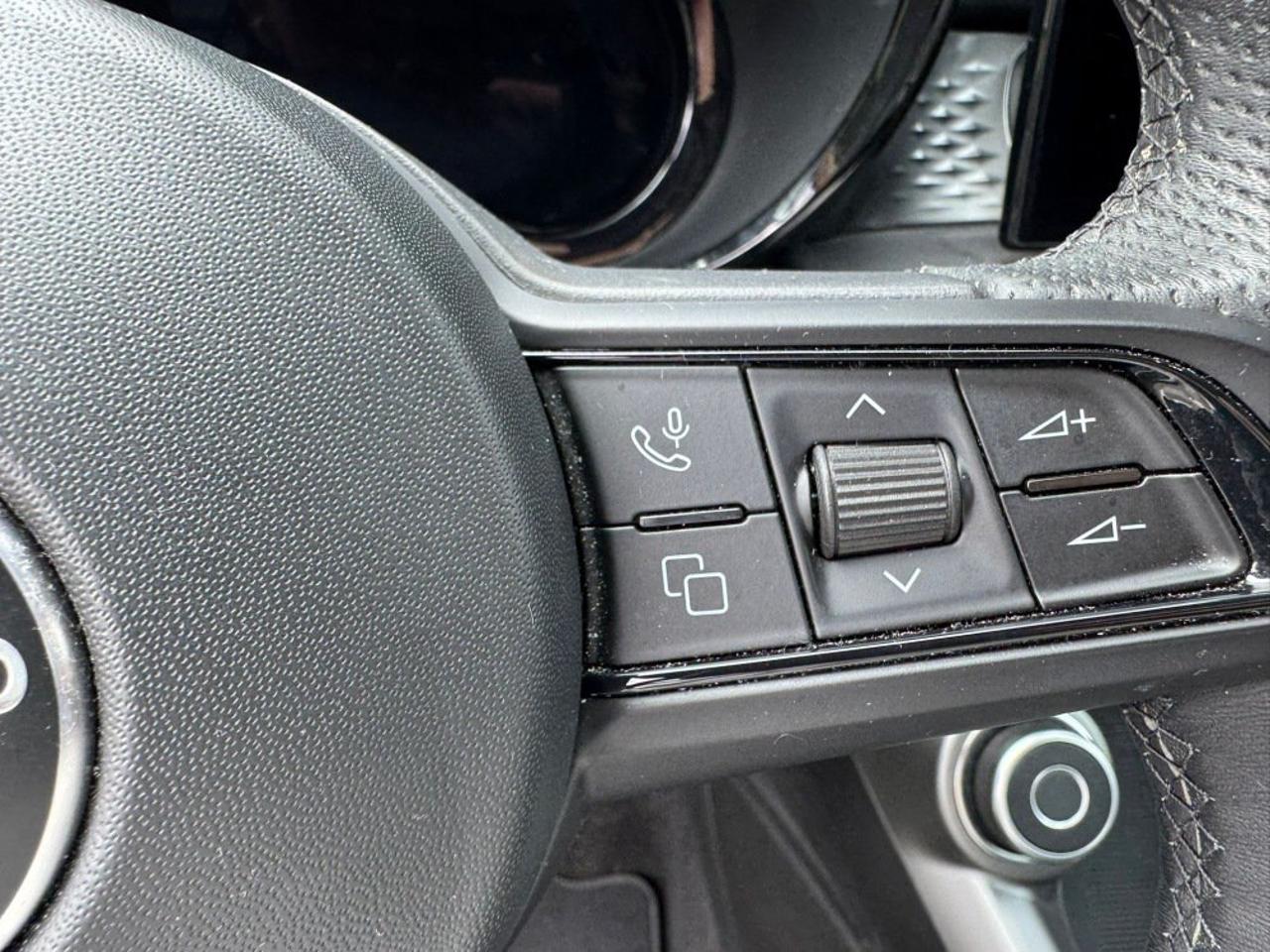 Alfa Romeo Alfa Romeo Tonale usata 14