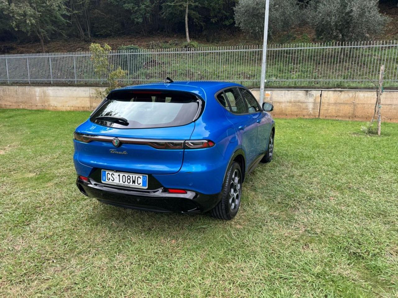 Alfa Romeo Alfa Romeo Tonale usata 24