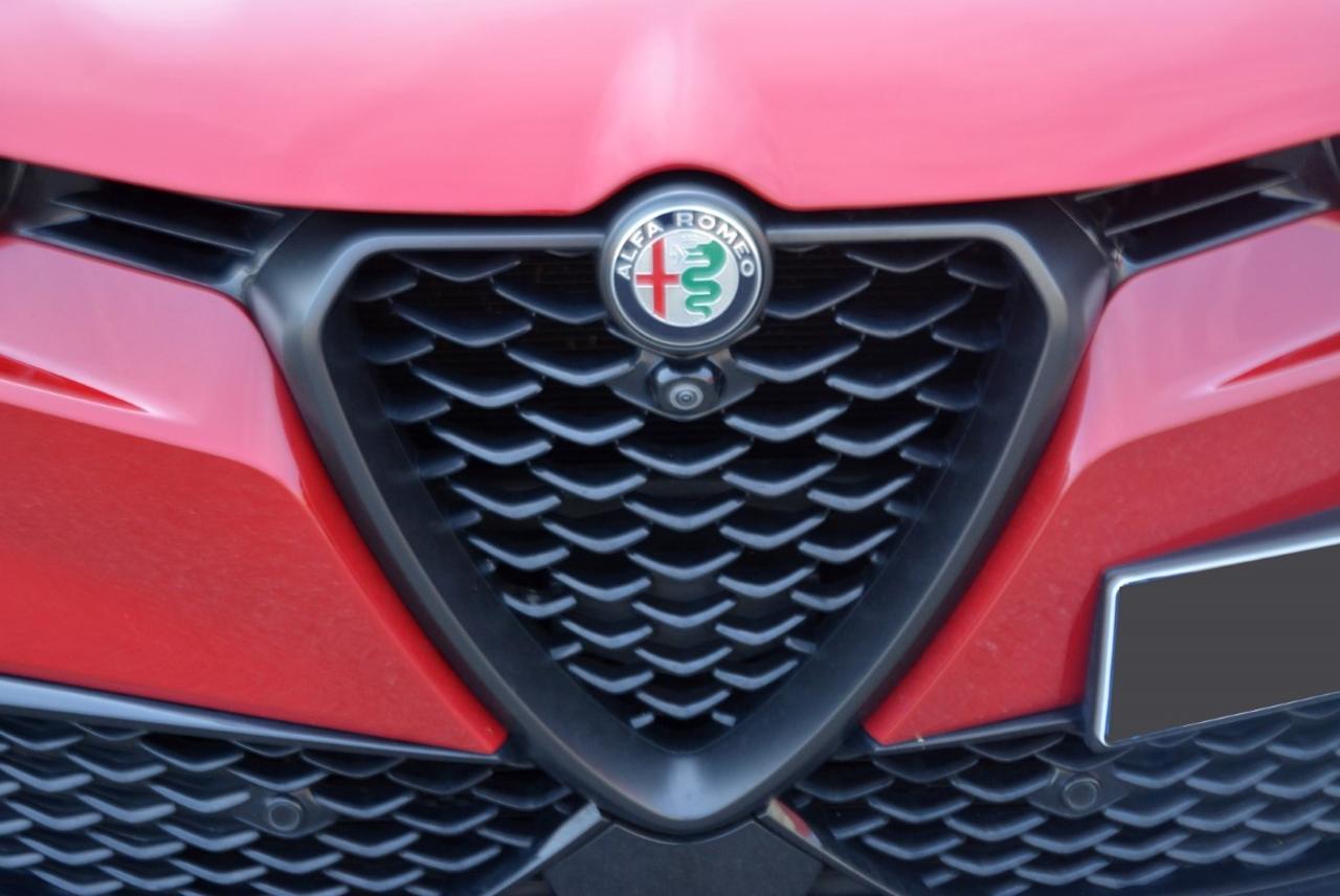 Alfa Romeo Alfa Romeo Tonale usata 12