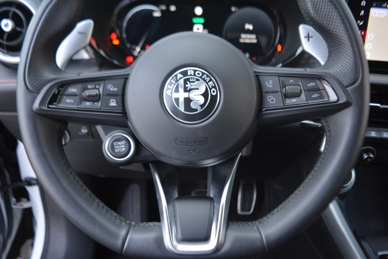 Alfa Romeo Alfa Romeo Tonale usata 7