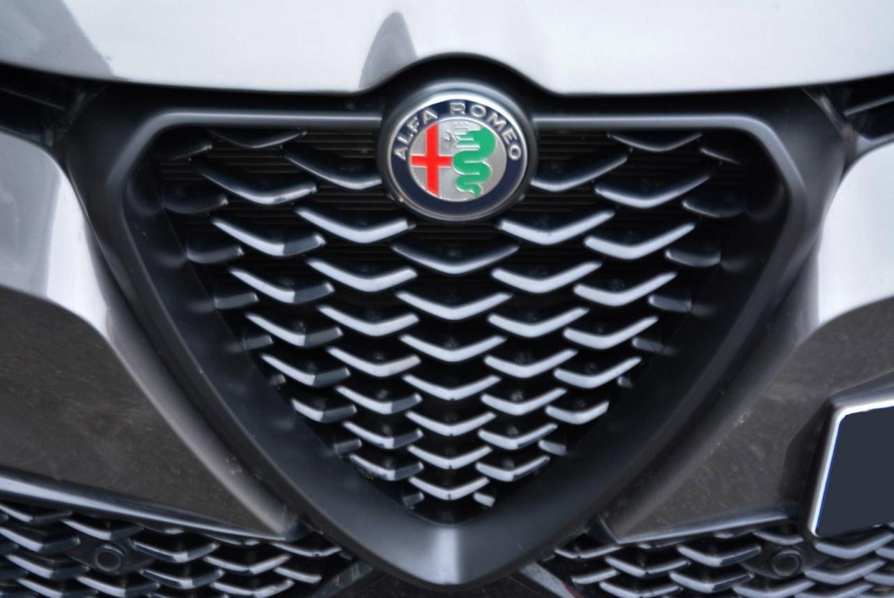 Alfa Romeo Alfa Romeo Tonale usata 12