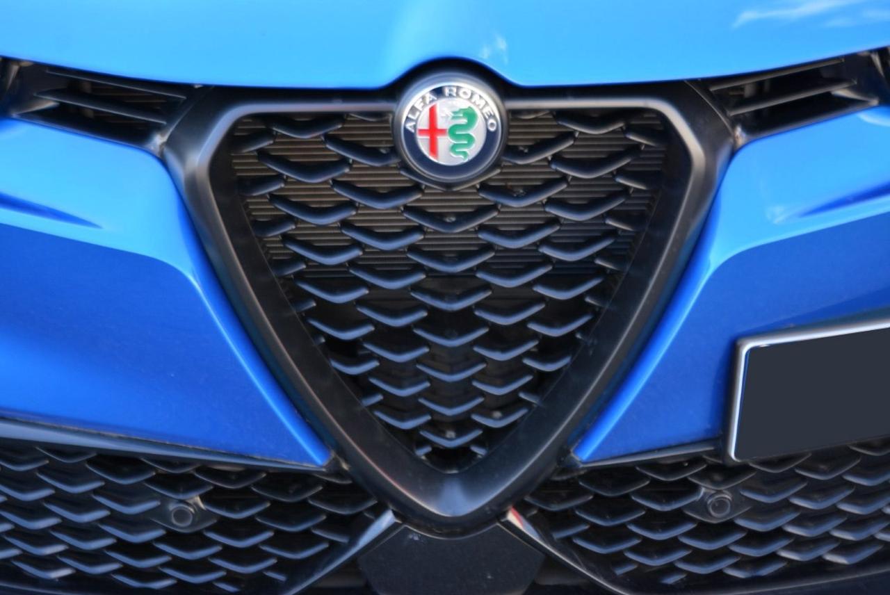 Alfa Romeo Alfa Romeo Tonale usata 13