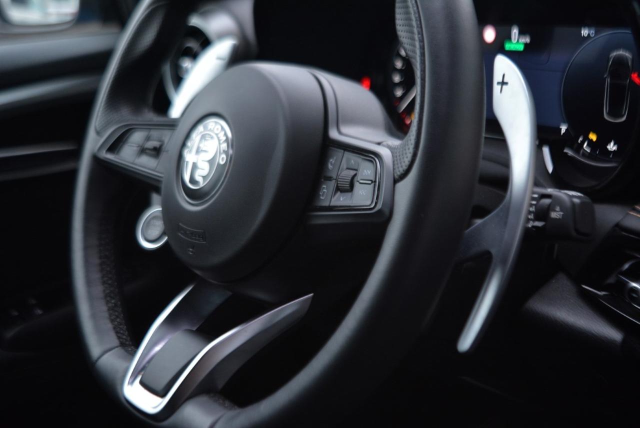 Alfa Romeo Alfa Romeo Tonale usata 7