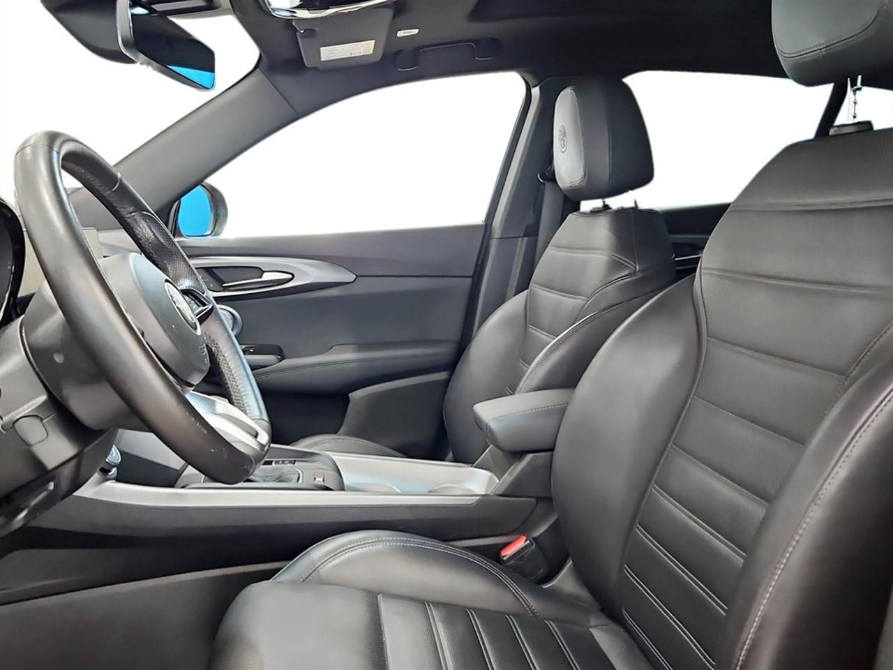 Alfa Romeo Alfa Romeo Tonale usata 20