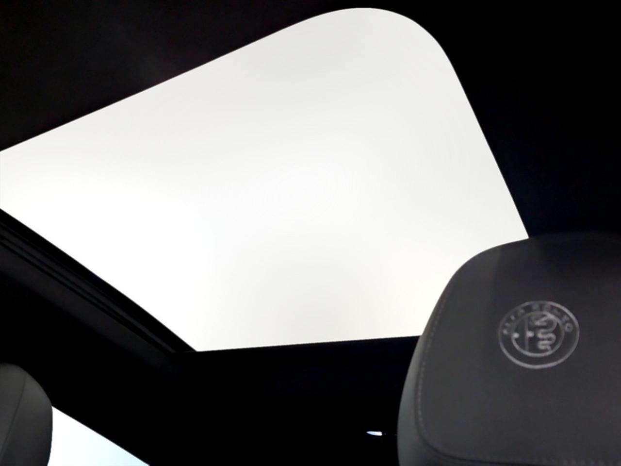 Alfa Romeo Alfa Romeo Tonale usata 22