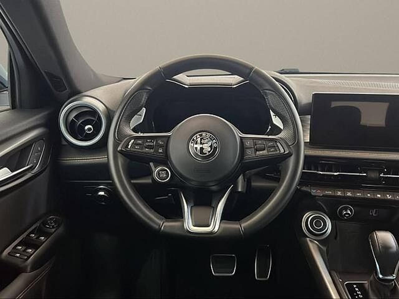 Alfa Romeo Alfa Romeo Tonale usata 9
