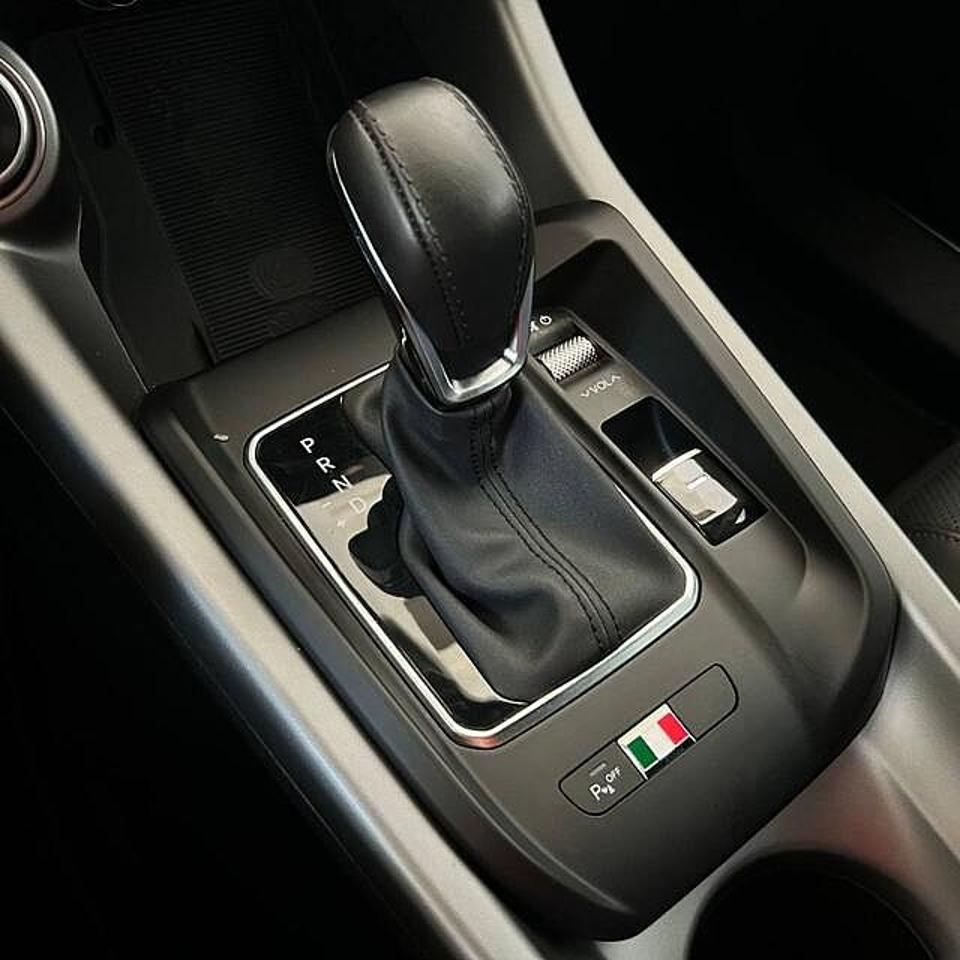 Alfa Romeo Alfa Romeo Tonale usata 20
