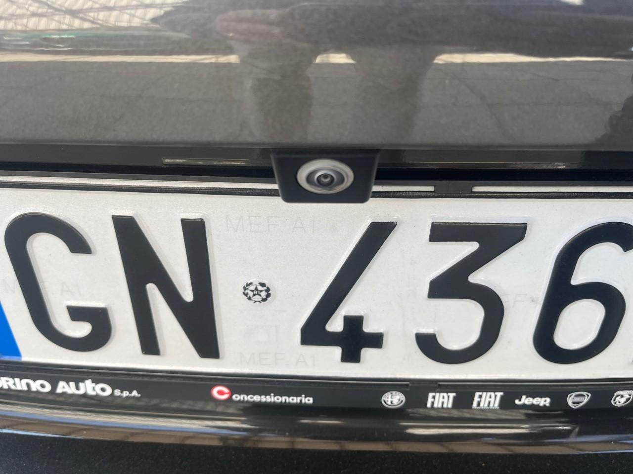 Alfa Romeo Alfa Romeo Tonale usata 8