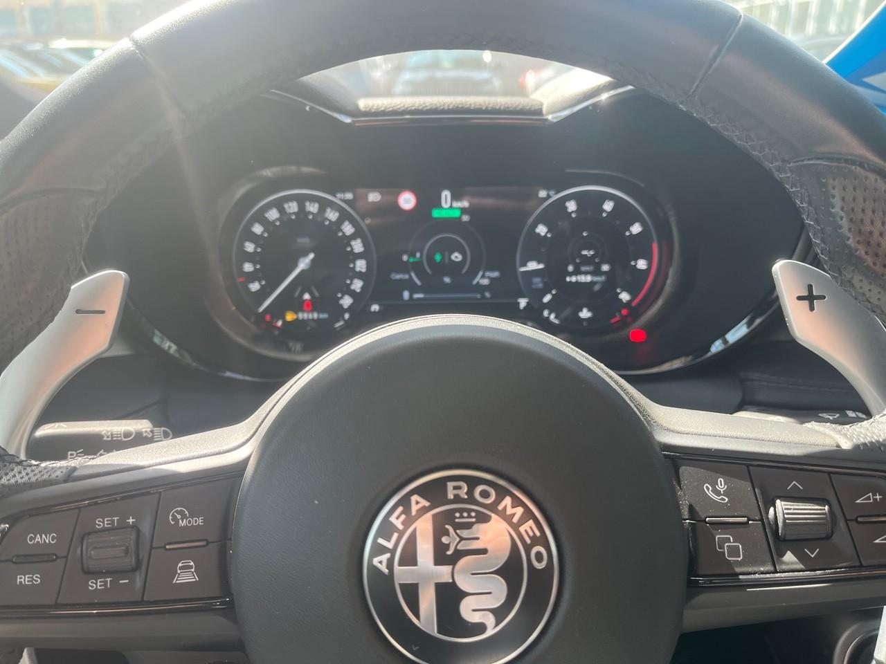Alfa Romeo Alfa Romeo Tonale usata 19