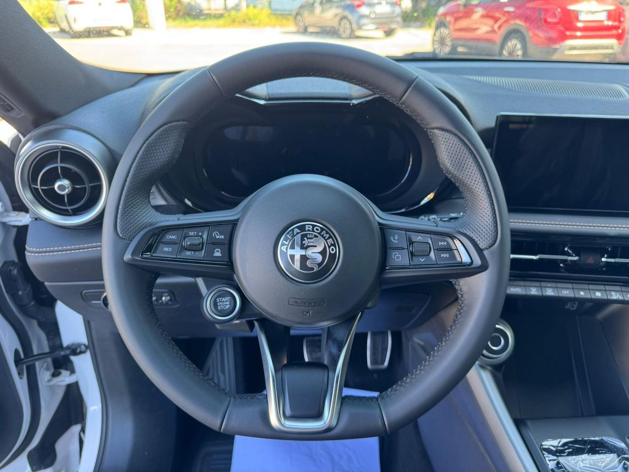 Alfa Romeo Alfa Romeo Tonale usata 10