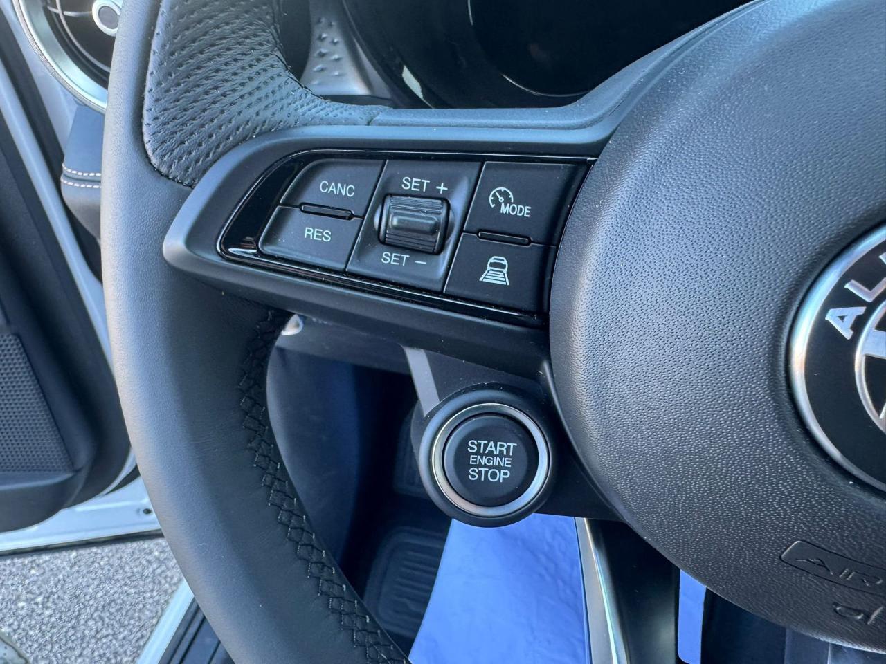 Alfa Romeo Alfa Romeo Tonale usata 12