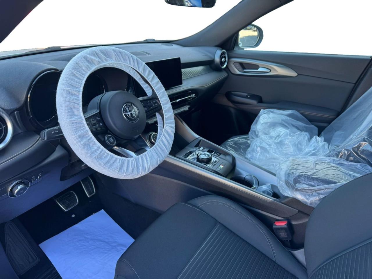 Alfa Romeo Alfa Romeo Tonale usata 27