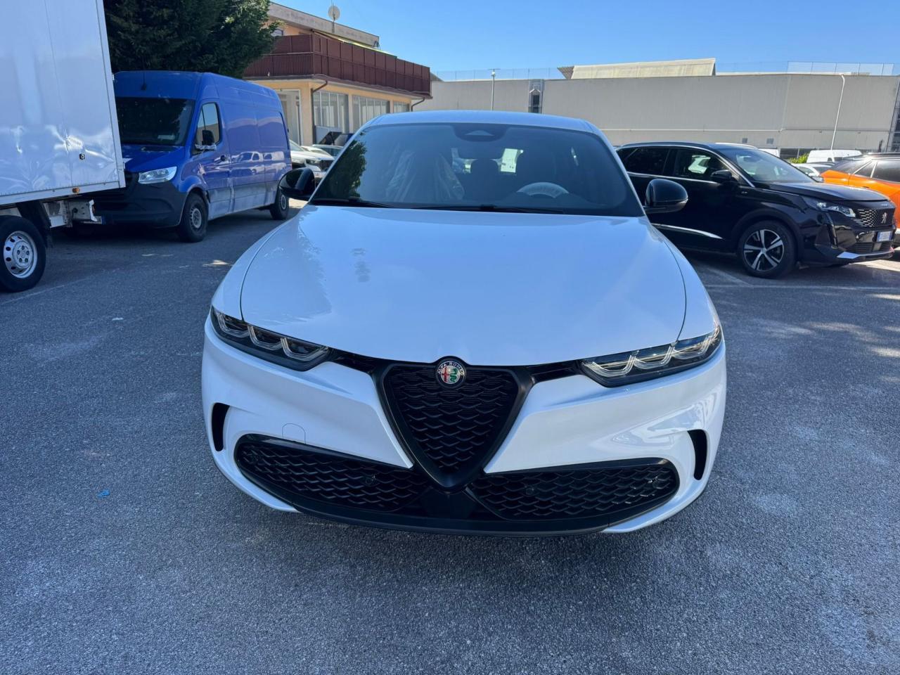 Alfa Romeo Alfa Romeo Tonale usata 28