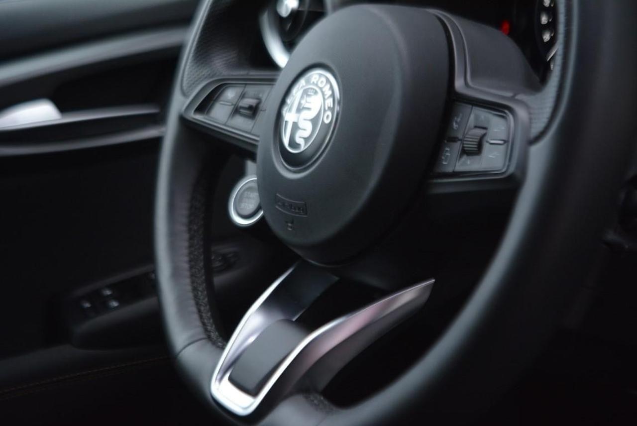 Alfa Romeo Alfa Romeo Tonale usata 7