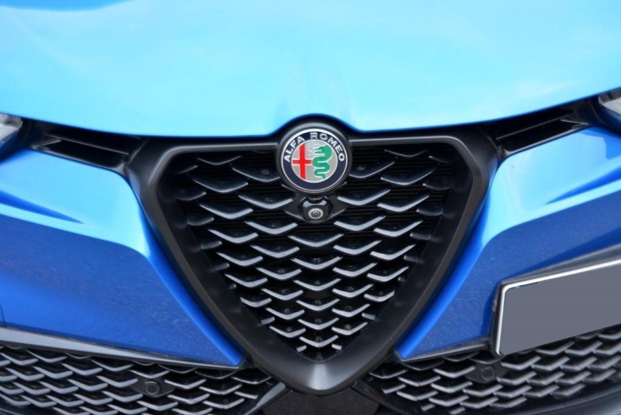 Alfa Romeo Alfa Romeo Tonale usata 13