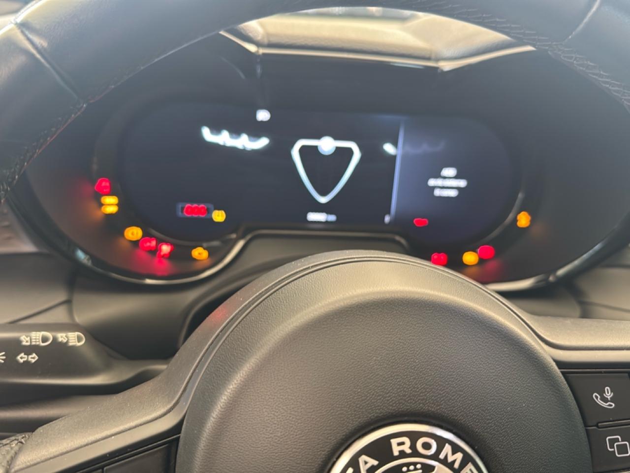Alfa Romeo Alfa Romeo Tonale usata 2