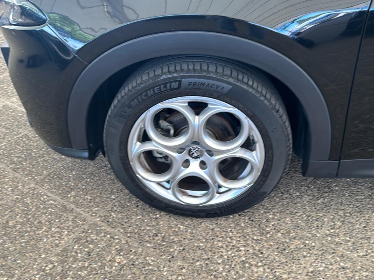 Alfa Romeo Alfa Romeo Tonale usata 15