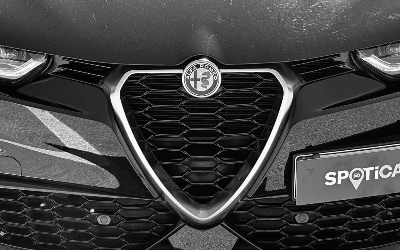 Alfa Romeo Alfa Romeo Tonale usata 9